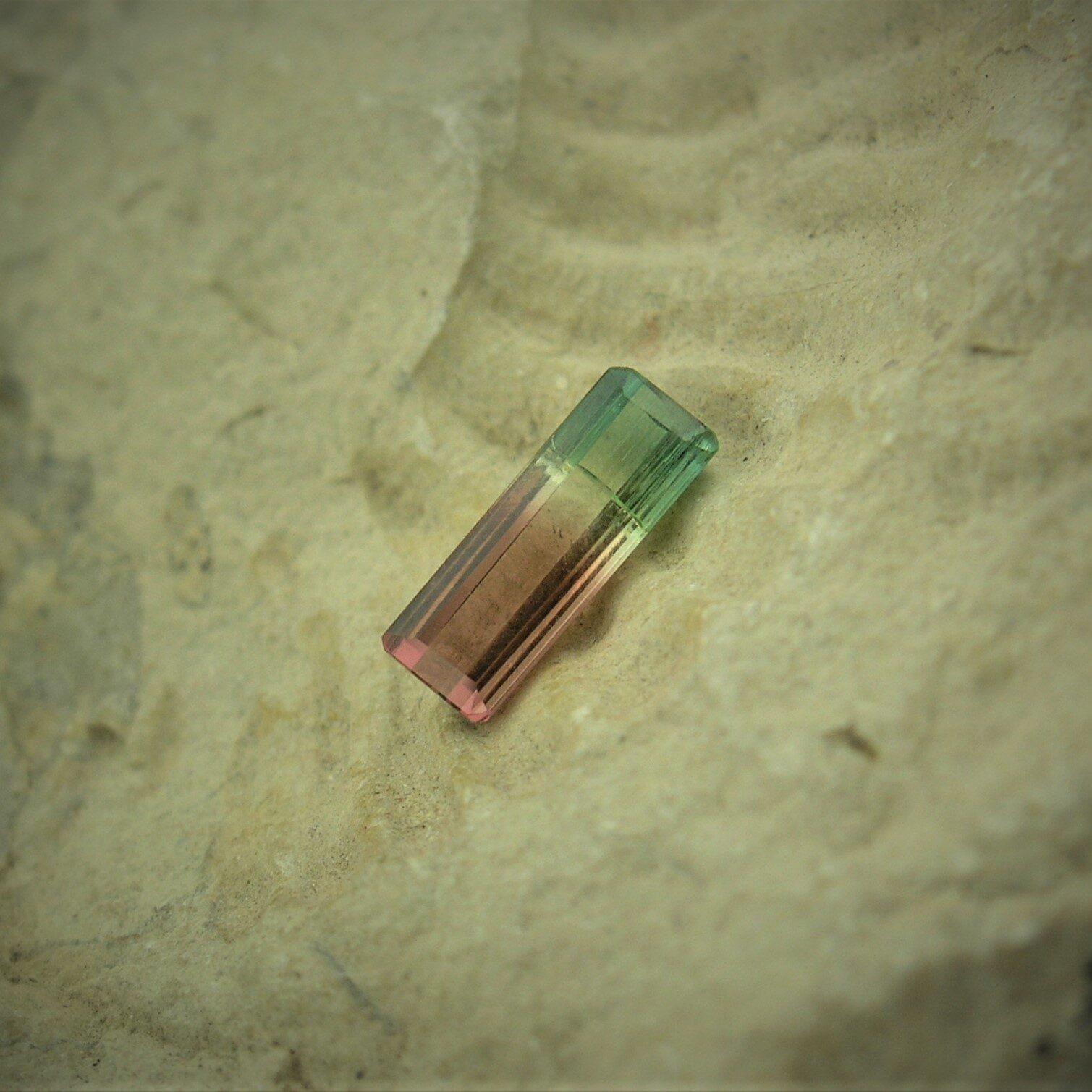 Watermelon Tourmaline